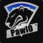 pawlo12334