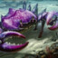 Purple Crab