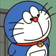 爱摸鱼的小柯基