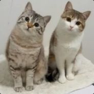 (ROAR) =★= 503Drei[JP/CN]