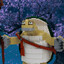 Master Oogway