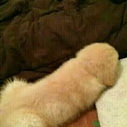 二十岁少年的倔强