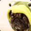 Mr Pug