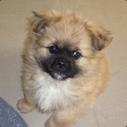 桥上吊刀，刀倒吊着