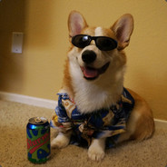 TheGamingCorgi