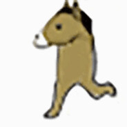 不可思议的象抜蚌