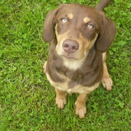 WLTN1 - steam id 76561198348591199