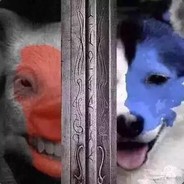 丘陵的黑风野牛