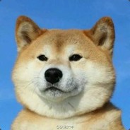 卖女孩儿的老火柴