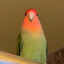 aaaaaaaaaaaaaaaaaaaaaaaaaaaaaaaa