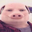 john pork