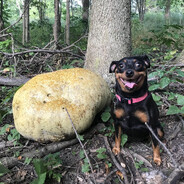 не мошните, я волнуюсь - steam id 76561198164677433