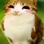 meowl