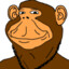 SadMonkey
