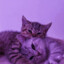 ryzu