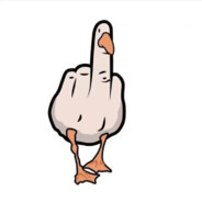 顶正的瑞克五代