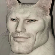 王守义的13真香