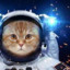 spacecat601