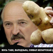 симпл про донк