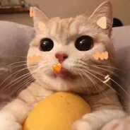 今天也很想你捏~