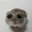 mobiusstrip