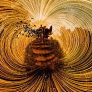 BOOM - steam id 76561198268391509