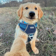 人猛屁臭爱耍酷