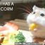 Im am corm