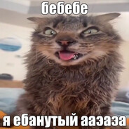 AINAME (прайм) - steam id 76561199502159259