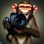 Funkymonkey