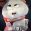 嘛玩意儿