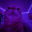 sp4JX