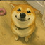 BoB BaB