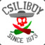 Csiliboy