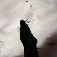 和小陈述说委屈