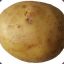 Maris Piper Potato
