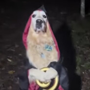 Гномик Хуекрад