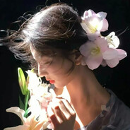 蝴蝶掠过了光影