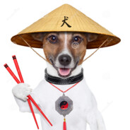 chopstickDOG