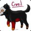 Cresil