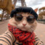 Muffin_44