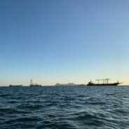 鱼忘记海的味道