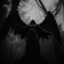 NeroN