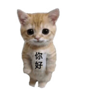 无敌闪光魔龙殿下