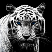delche_06 avatar