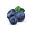 NT | BLUEBERRY
