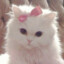 CatPhuong