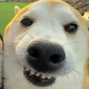 蹲在厕所数蟑螂