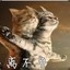 不离不弃
