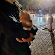 奈何桥头痴情人